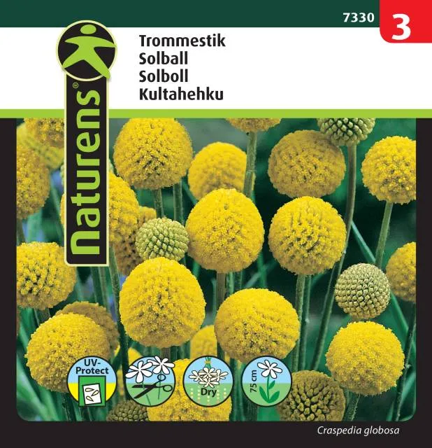 Solboll
