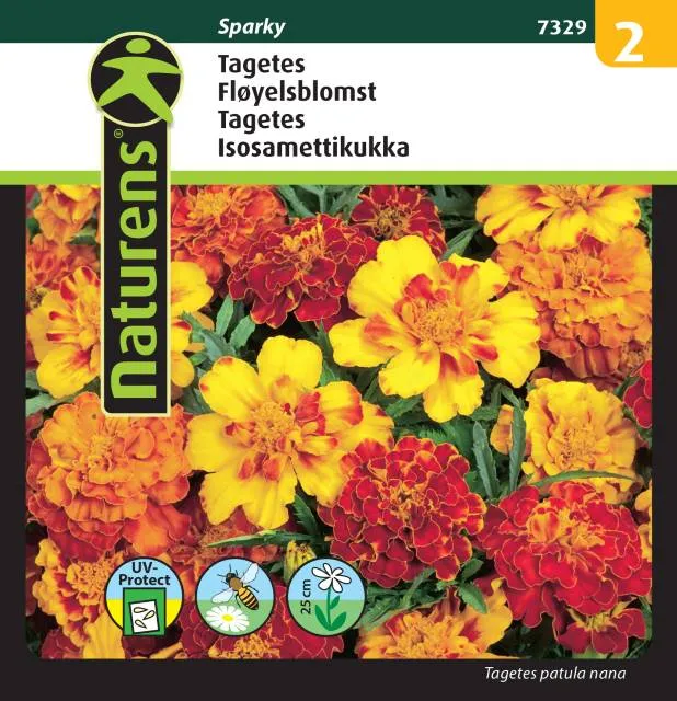 Tagetes Mix 'Sparky'