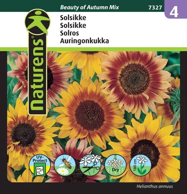 Solros Mix 'Beauty of Autumn'