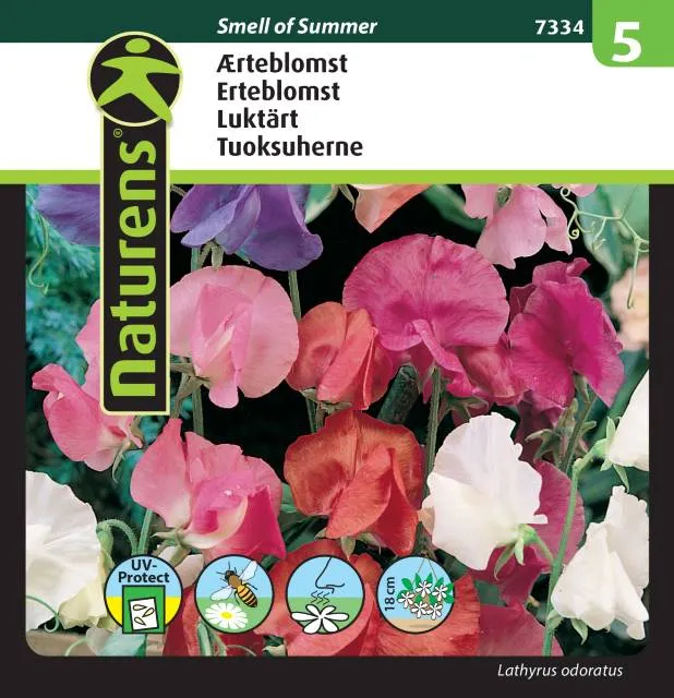Luktärt Mix 'Smell of Summer'