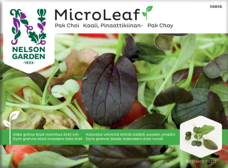 Micro Leaf 'Pak Choi'