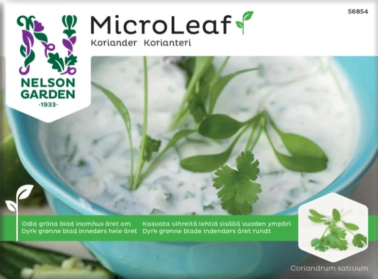 Micro Leaf 'Koriander'