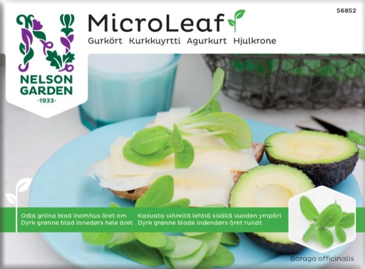 Micro Leaf 'Gurkört'