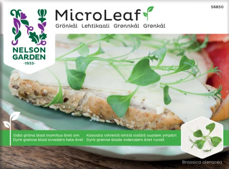 Micro Leaf 'Grönkål'