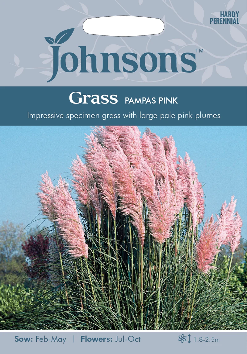 Pampasgräs 'Pink'