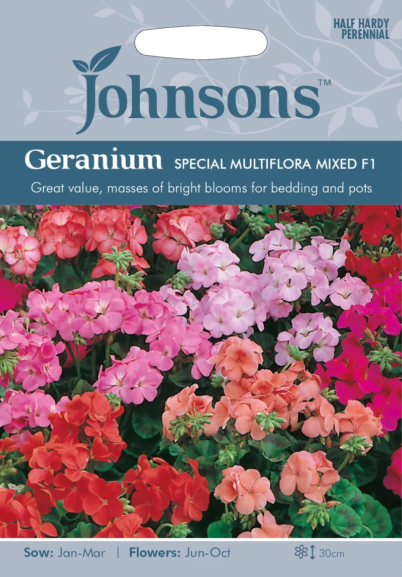 Pelargon 'Special Multiflora F1' mix
