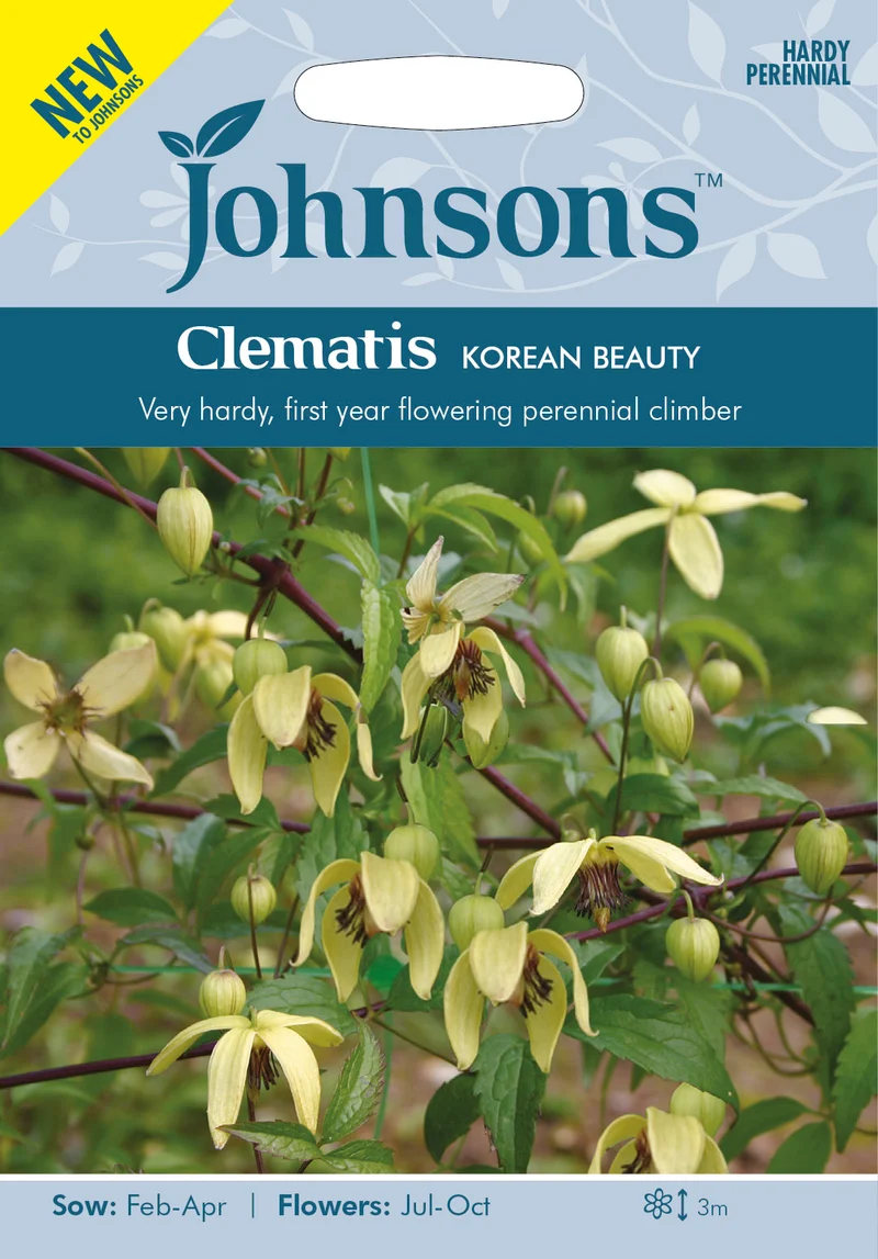 Klematis 'Korean Beauty'