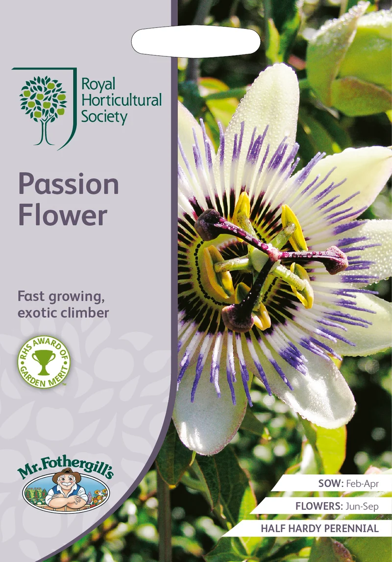 Passionsblomma