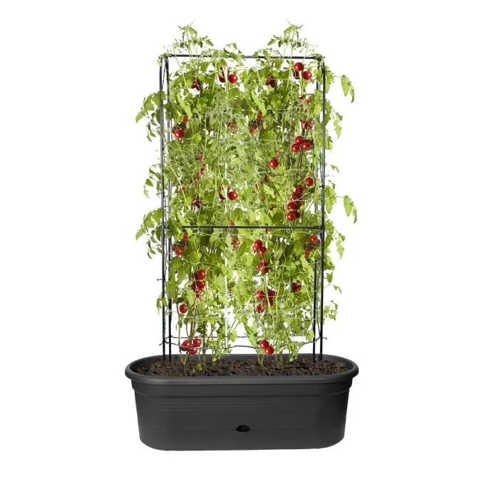 Green Basic Veggie Wall 80cm Living Black