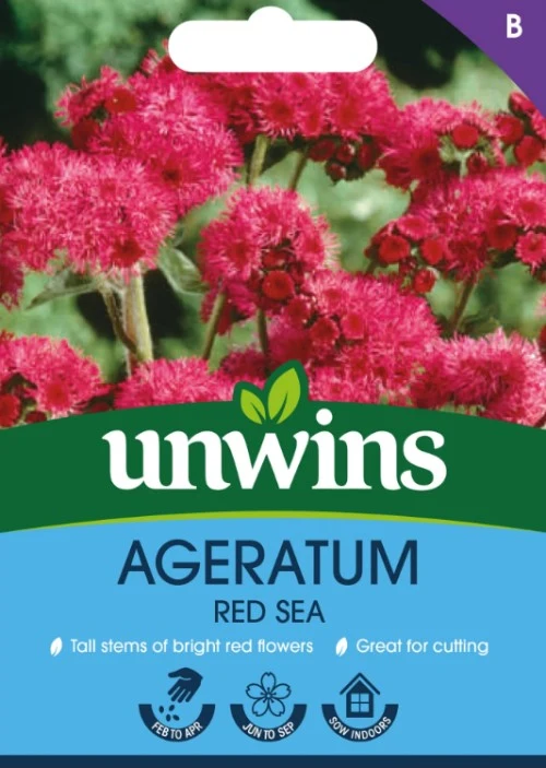 Ageratum 'Red Sea'