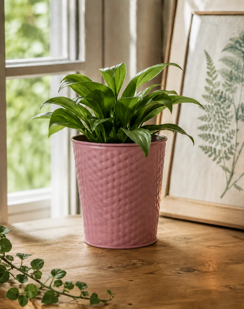 Plåtkruka Rosa