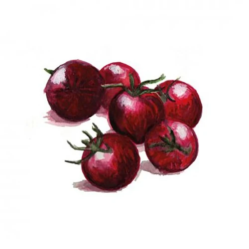 Körsbärstomat 'Black Sweet Cherry' Svenskodlat frö