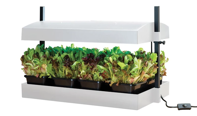 Växtbelysning 'Grow Light Garden' LED White