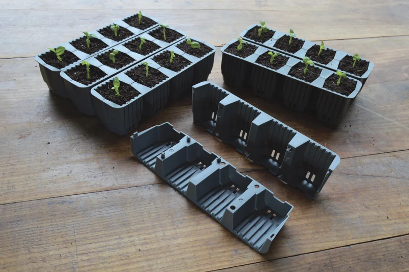 Miniväxthus 'Fast Root Success' 24 celler