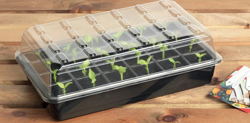 Miniväxthus 'Seed Starter Set' 24 Celler