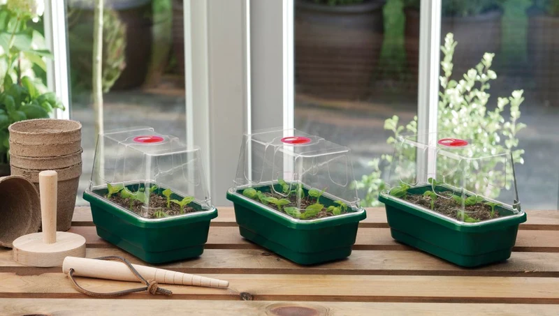 Miniväxthus 'Mini High Dome' 3-pack