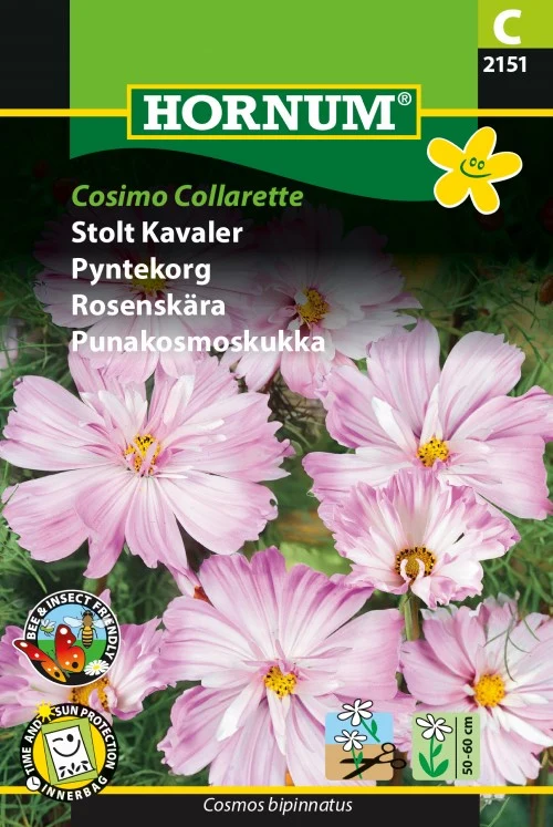 Rosenskära 'Cosimo Collarette'
