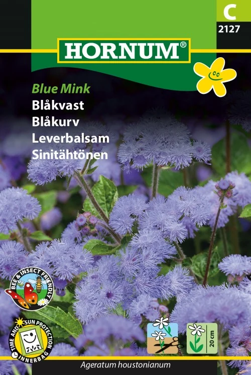 Ageratum 'Blue Mink'
