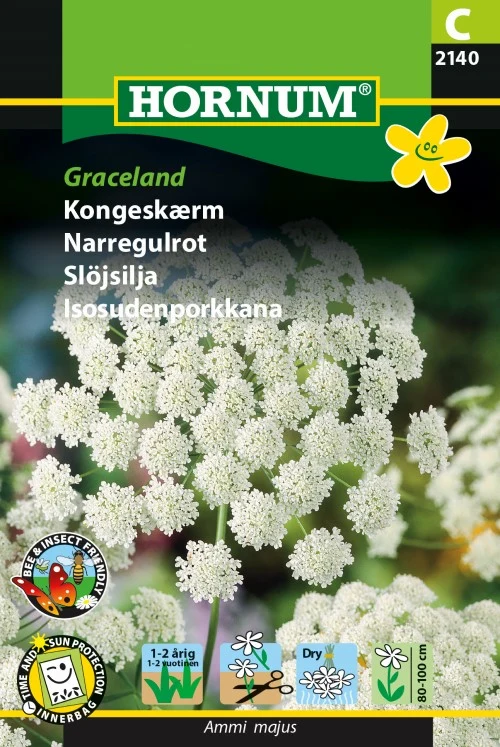 Slöjslilja 'Graceland'