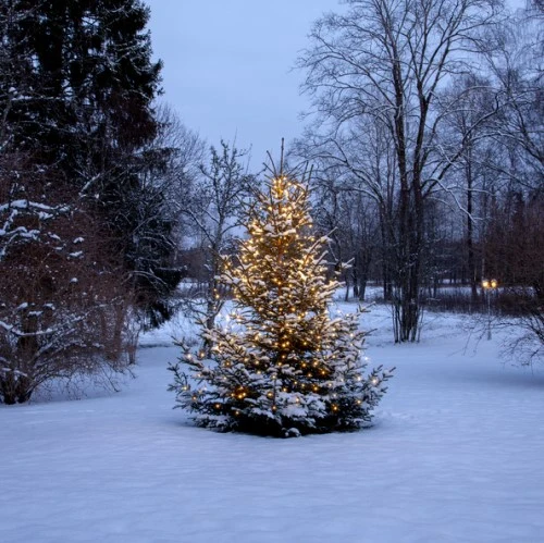 Julgransbelysning LED 'Shiny'