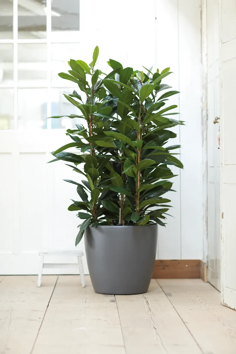 Brussels Ytterkruka med hjul D47cm - Anthracite