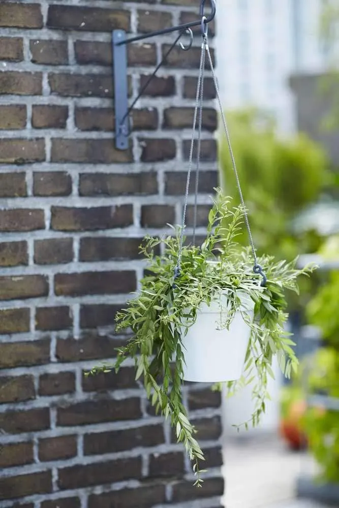 Loft Urban Ampel Hanging Basket D20cm Vit