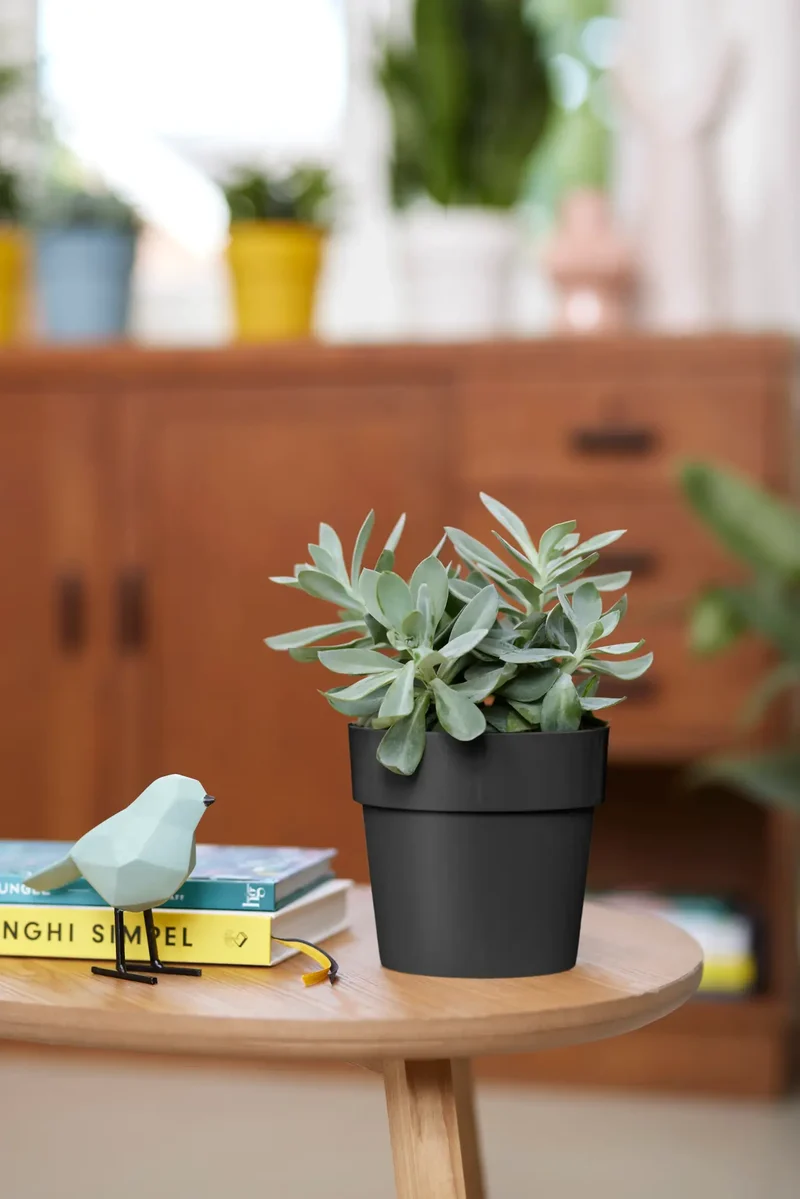 b.for Original Rund Ytterkruka D14cm Living Black