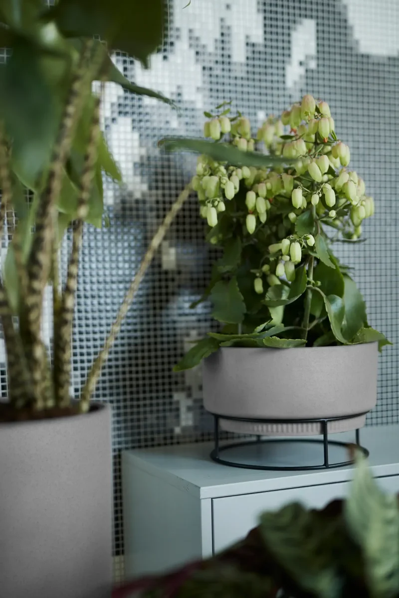b.for studio Bowl' Ytterkruka 30cm - Living Concrete