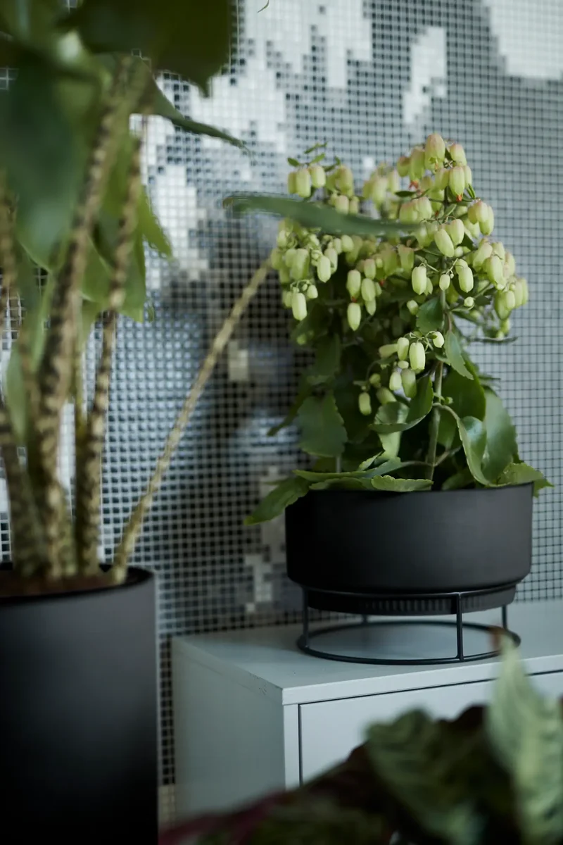 b.for studio Bowl' Ytterkruka 30cm - Living Black
