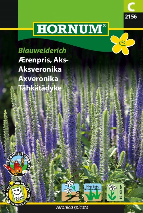 Axveronika 'Blauweiderich'