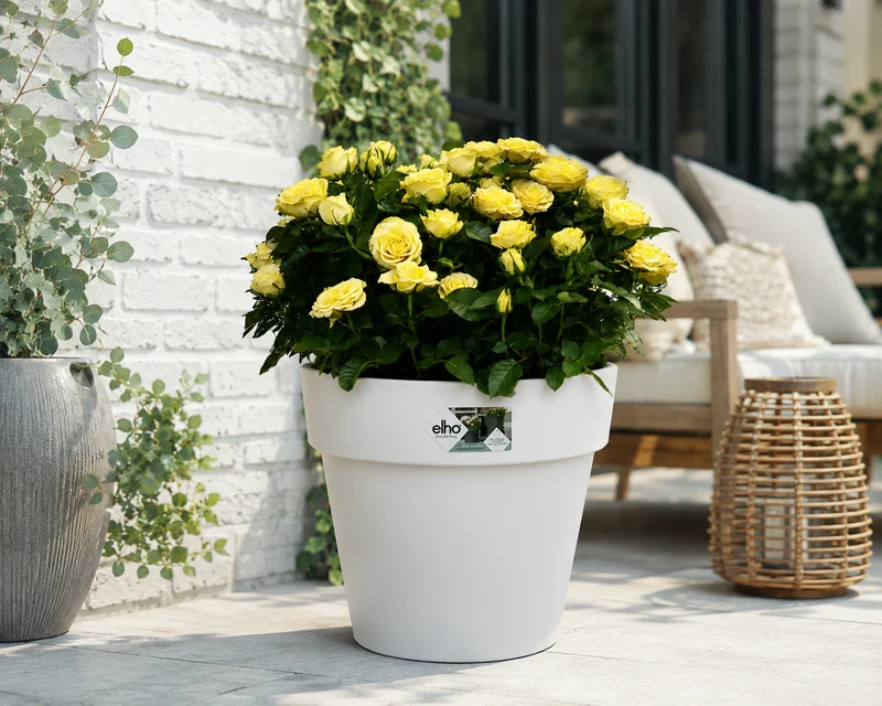 Green Basics Top Planter 30cm - Cotton White
