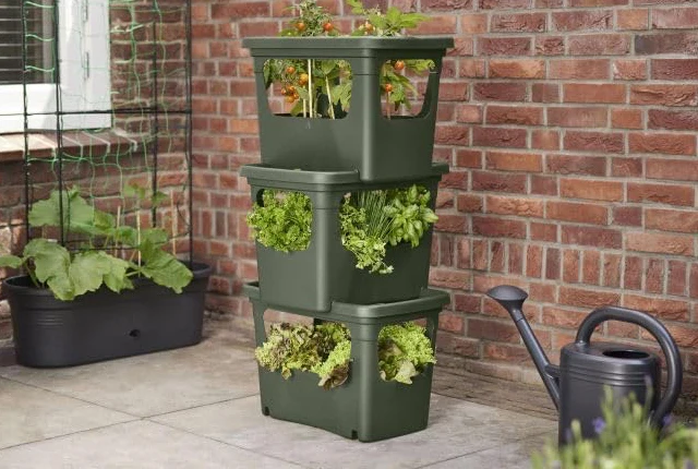 Green Basics Stack n Grow - Leaf Green