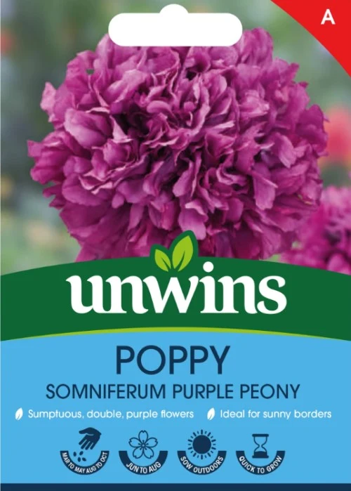Vallmo 'Purple Peony'