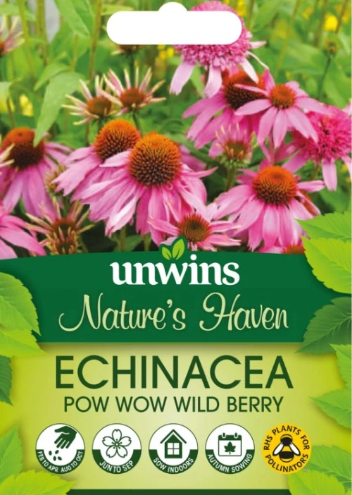 Solhatt 'Pow Wow Wild Berry'