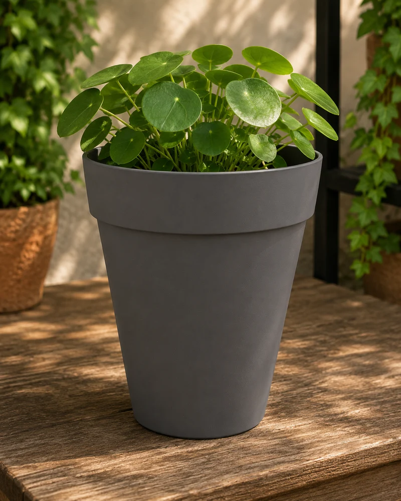 Loft Urban Round High 28cm - Anthracite