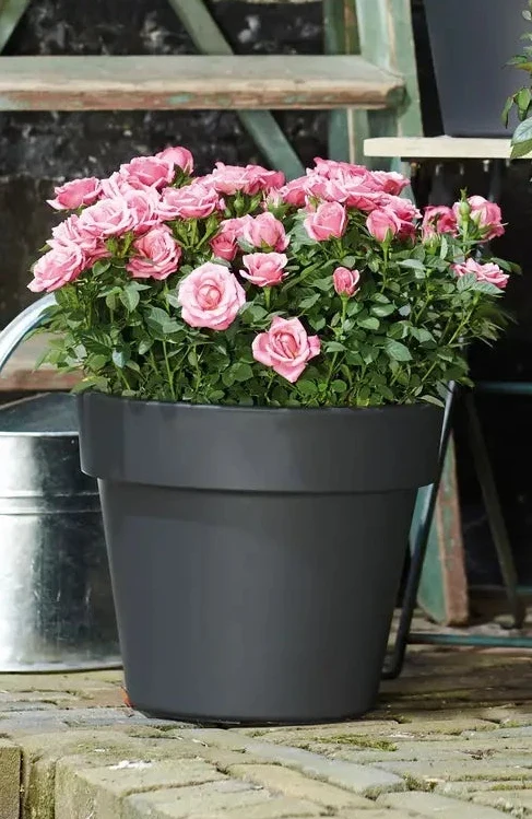 Green Basics Top Planter 30cm - Living Black