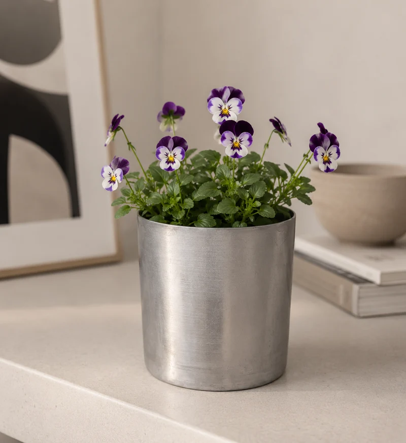 Kruka 'Nola' Liten D11,5cm