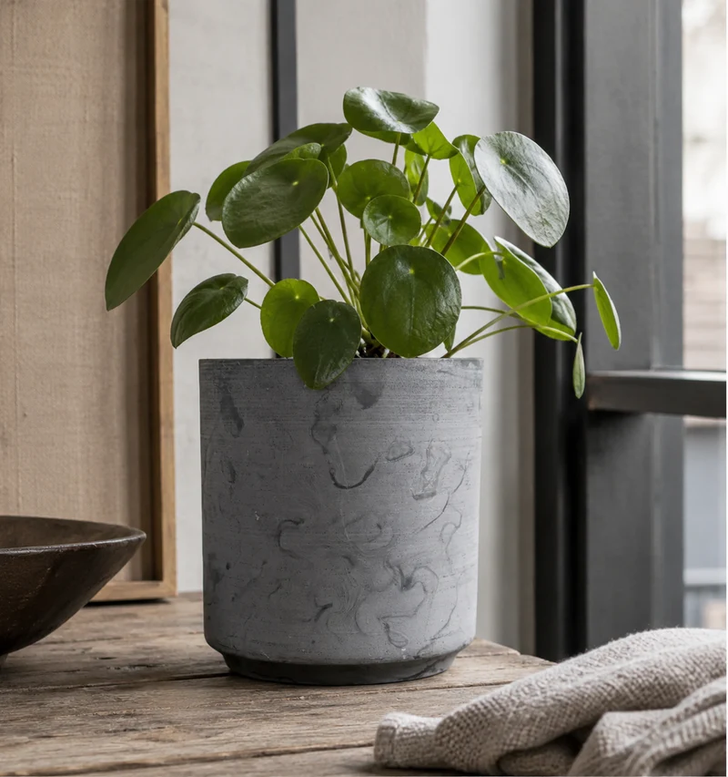 Kruka 'Nola' Stor D15cm