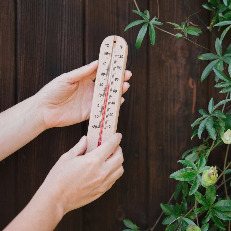Termometer FSC- Trä