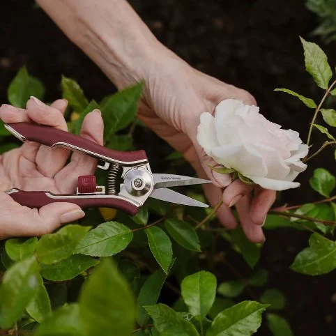 Kent & Stowe 'Garden Life' Blomstersax Röd