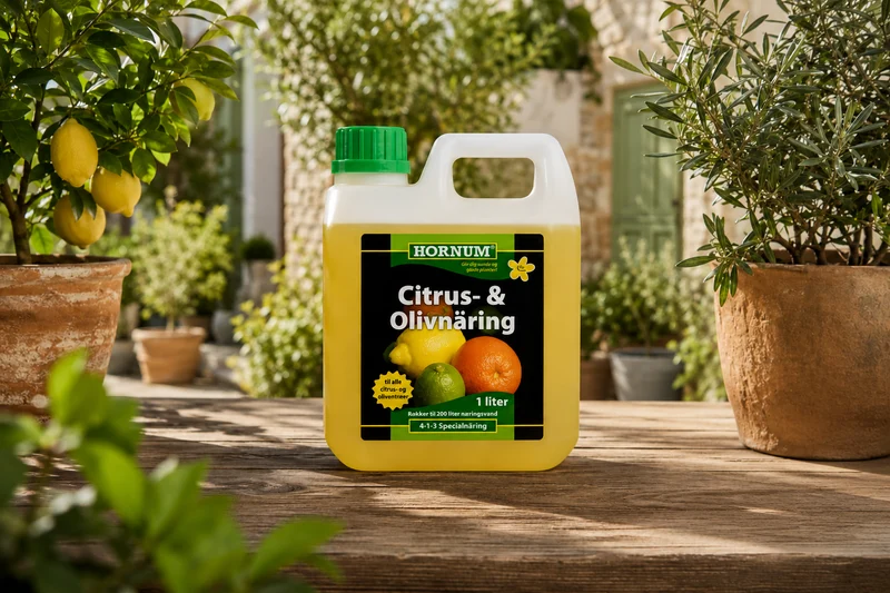 HORNUM Citrus- & Olivnäring 1l