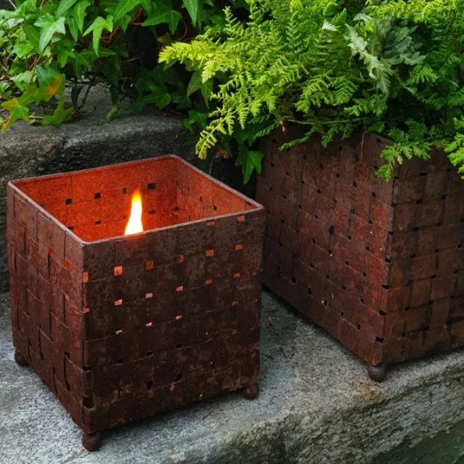 Marschallkruka 'Näver' Rost -Mellan