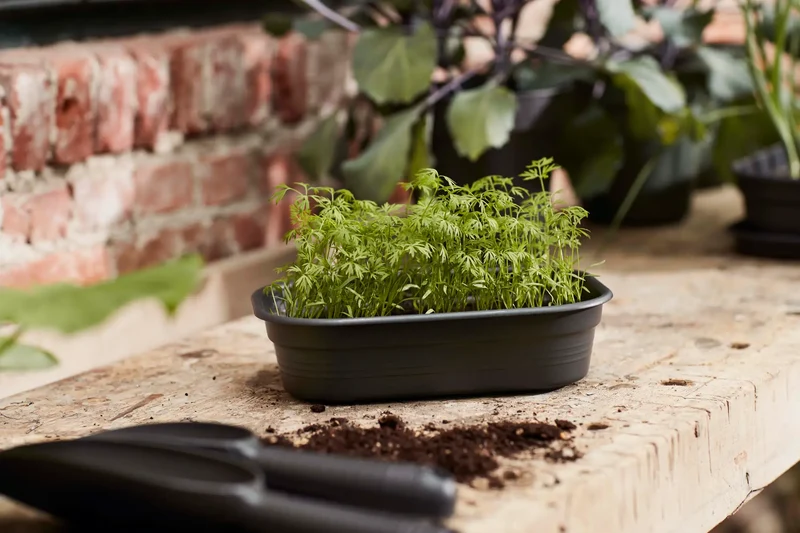 Green Basics Odlingstråg S - Living Black