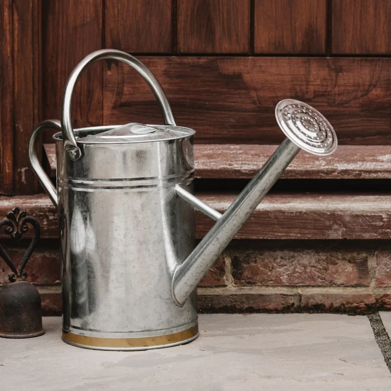 Kent & Stowe Vattenkanna - Silver 9l
