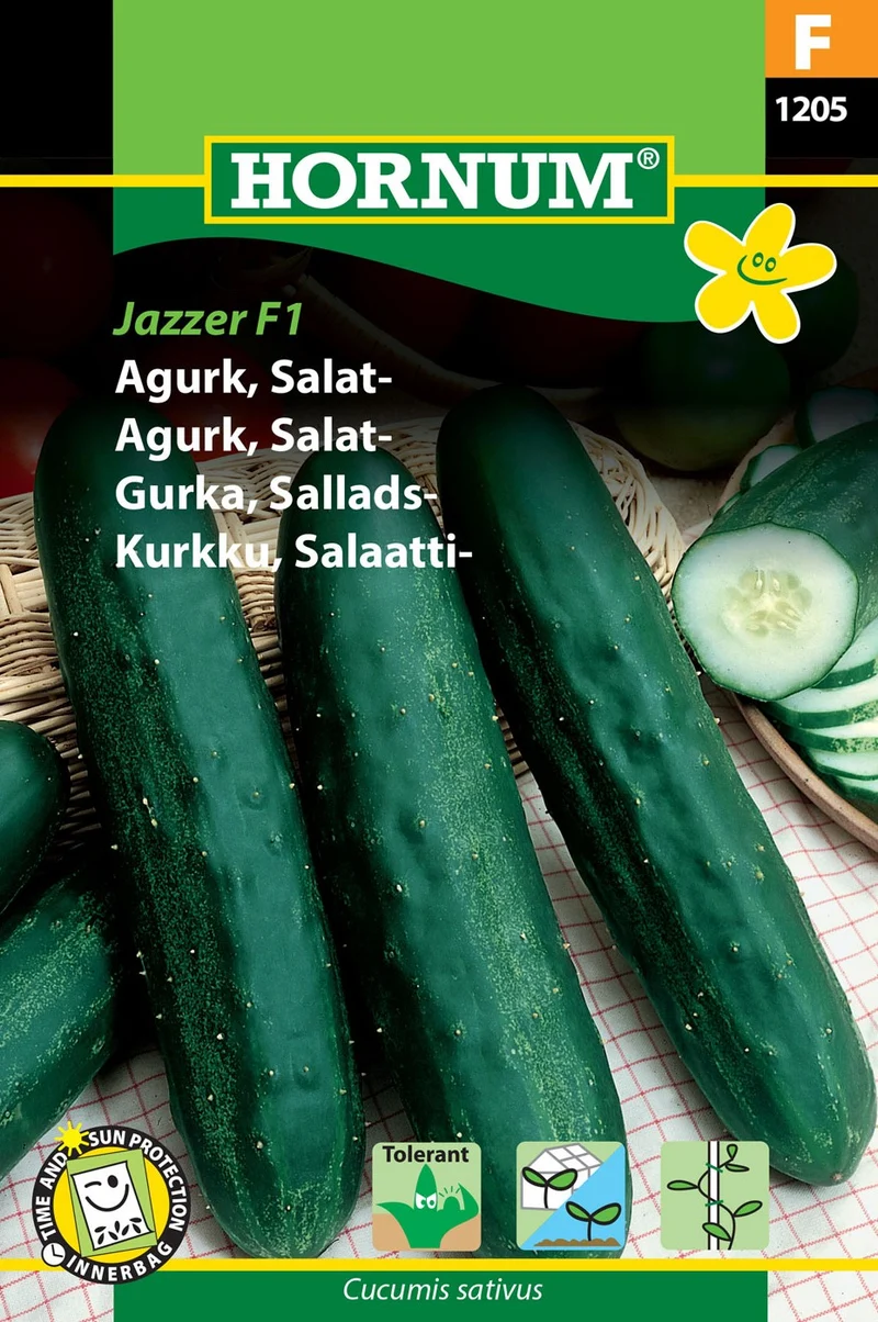 Salladsgurka 'Jazzer' F1