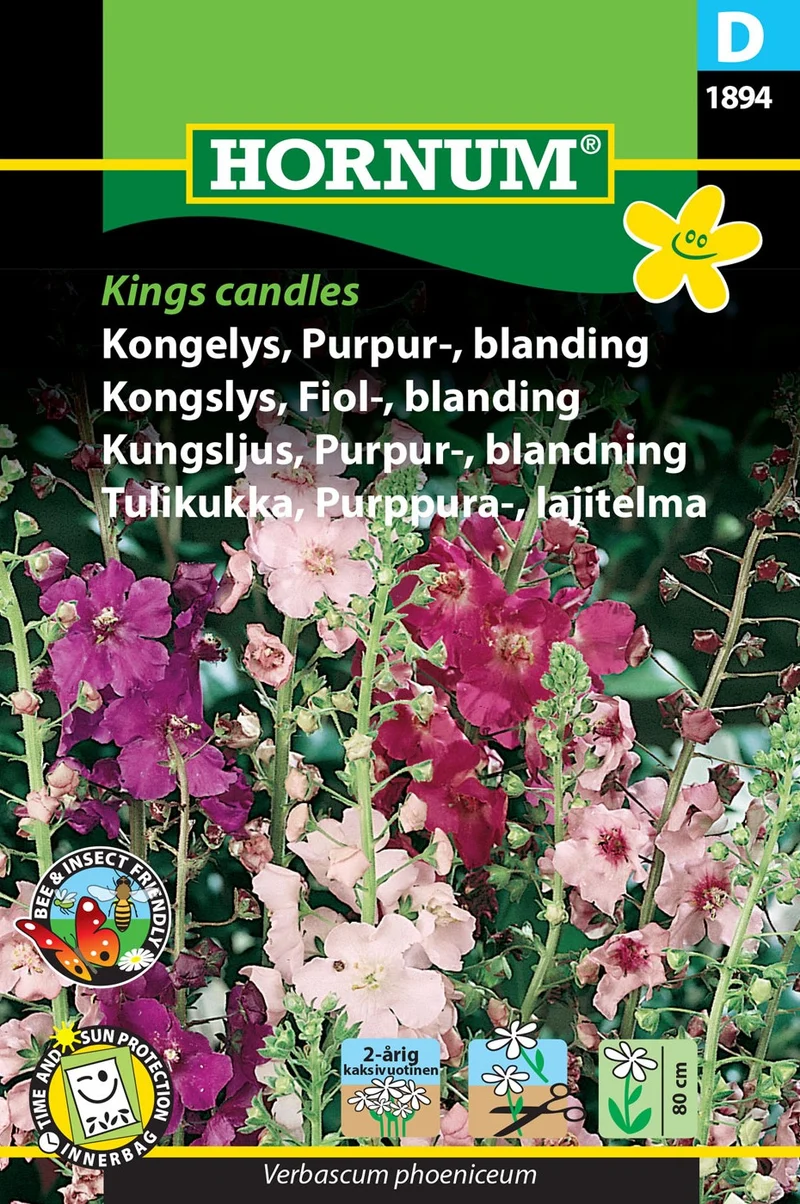 Kungsljus Mix 'Purpur'