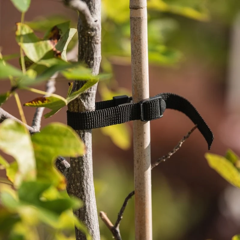 Växtstöd Trädband 32cm - 4st