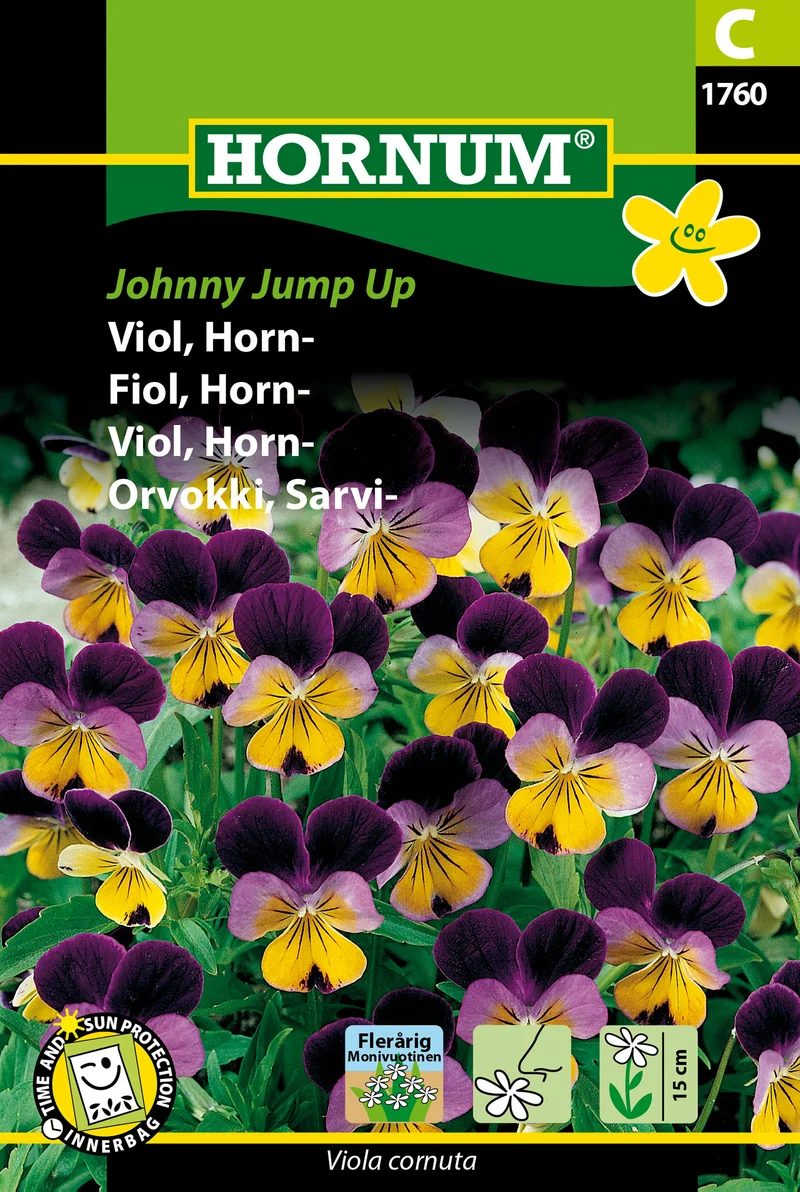 Hornviol 'Johnny Jump Up'