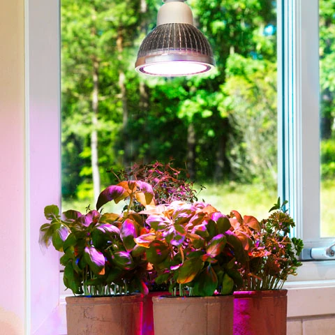 Växtlampa Odla 18W 60°