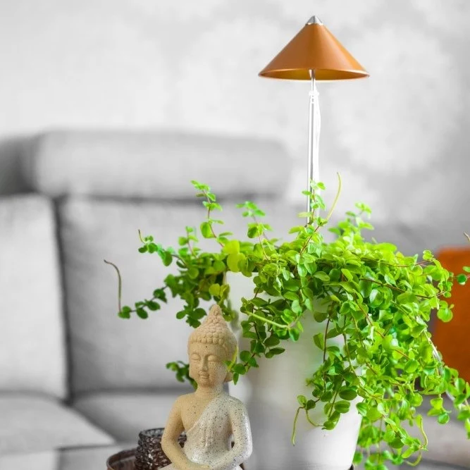Sunlite Växtlampa Koppar - 7W
